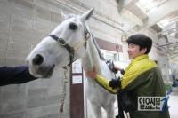 렛츠런파크 부산경남, 국내 최초 말 전문 마사지사 양성