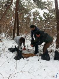 [현장스케치] 광주시, 혹한기 야생동물 먹이주기   