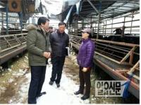 김종규 부안군수 폭설피해현장 방문 농가 위로