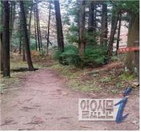 순천시 조계산 법정스님 수행 무소유 옛길 복원