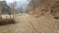 문경시, 새재에 "문경새재 아리랑" 노랫말 '물박달나무' 심는다