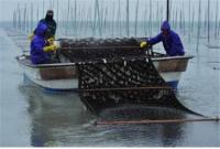 인천시, 어장이용개발계획 승인...어업인 소득 증대