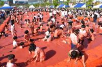  '2016 달성 토마토 축제'  21·22일 개최