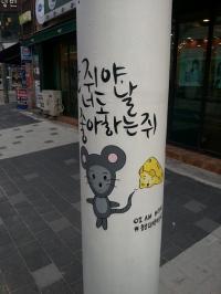 대전 행복홀씨 입양사업 참여단체 증가
