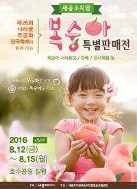 세종 조치원복숭아 12일부터 특판