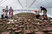 영지 생산기반시설 시범사업 추진