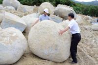 대구 달성군 비슬산에 "용(龍)알? 나타났다"…주민, '다산·번영' 길조로 반겨