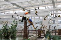 대전오월드 내 버드랜드(Bird Land) 개장 리허설