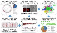 진균성 뇌수막염 조절하는 효소 발견