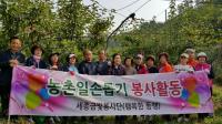 세종금빛봉사단, 봉사활동 전개