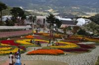 산림청 “예산서 산림문화 축제 즐기세요”