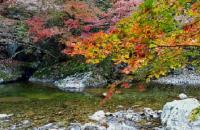 대전충남 10월 평균기온 평년(13.6℃)보다 1.6℃ 높아