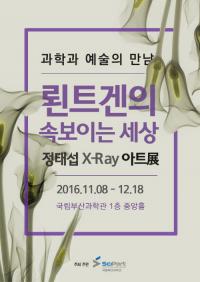 국립부산과학관 “X-RAY 아트의 세계와 만나세요”