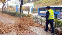 대구 수성구, 빗자루 대신 송풍기 낙엽 쓸어
