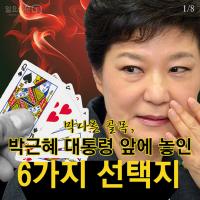 [카드뉴스] 막다른 골목, 박근혜 대통령 앞에 놓인 6가지 선택지