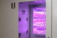 “LED식물재배조명, 친환경 농업기술로 각광”