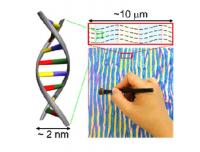그림 그리듯 만드는 DNA 구조체