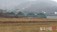 경남 고성, 26일 조류인플루엔자 발생