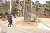 충북대, 포켓몬고(GO) 열풍에 핫플레이스 등극