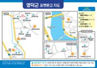 포켓몬고 게임천국 영덕으로 'Go Go !!'