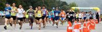 "26.4Km 벚꽃길 달린다" 대전동구, '물사랑대청호마라톤대회'