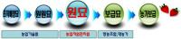 경북도, 대규모 '딸기 원묘 증식기반시설' 구축…내년부터 본격 가동