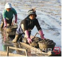 전남도, 국가중요어업유산 발굴 잰걸음