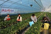  초보농사꾼, 농장&카페 운영으로 소득창출 