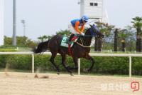 제12회 경남신문배 주인공 가린다···올해 국산 여왕마 등극 위한 예비 관문 