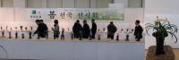 한국 춘란 봄 전국 전시대회 대전에서 열려