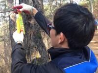 세종청년연대, 산불예방 캠페인·환경정화 활동 실시