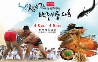 제1회 청산 생선국수와 함께하는 백중씨름대회 개최