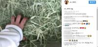 설현, 젖소목장 체험 근황에 왼쪽 네번째 손가락 '반지' 포착…네티즌들 '궁금증 증폭' 