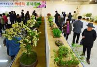 충북농기원, 제6회 야생화, 우리 육성꽃 봄나들이 전시회 개최