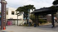 포항 관광명소 ‘일본인가옥거리’ 무허가 음료 판매