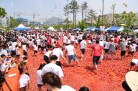 대구 달성군,  '2017 달성 토마토축제' 관광객 맞이 '시동'