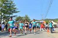 제천시, 의림지에서 마라톤 축제 개막