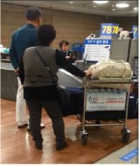 국내 최대 1000억대 금괴 밀수에 가담한 자매