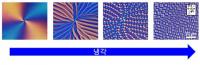 KAIST, 액정 위상학적 결함 관찰하는 플랫폼 개발