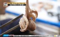 ‘서민갑부’ 수유 전통시장 생선가게 갑부, 시식 행사로 150만 원 “1시간 현금 쓸어모아”