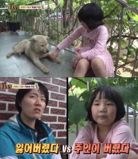 '동물농장' 떠돌이 개 구름이의 특별한 입양스토리 "처음엔 굶은 것 같이 배가 홀쭉"