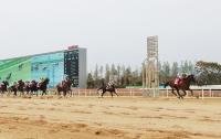 스포츠조선배 대상경주 미리보기