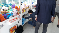 파주시, 인형뽑기방 불법영업 행위 집중단속