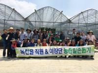 옥천읍 직원- 이장- 시가지정비기동처리반 농촌일손 도와