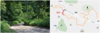 용인에 20km 이르는‘장대임도’ 조성