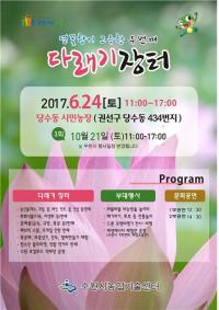 수원시, 연꽃과 함께하는 '다래기장터' 열린다