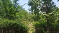 강남구, 달터마을 무허가판자촌 공원조성 순항 중