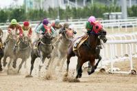 '삼관마 경주 마지막 승부' 농림축산식품부장관배 미리보기