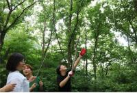 국립장성숲체원, 청소년 숲속 집짓기 프로그램 운영