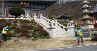 영동군 노인일자리- 사회활동지원 인기